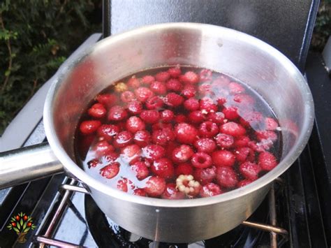 Čerstvé maliny a malinová omáčka