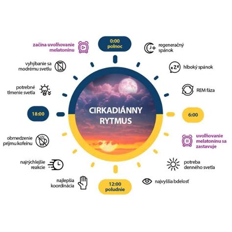 Graf znázorňujúci cirkadiánny rytmus tela