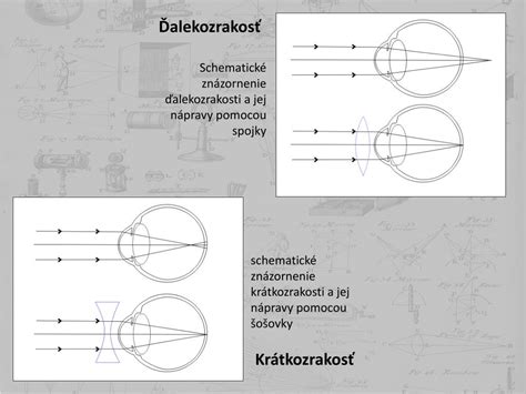 Schematické znázornenie denzitometrie