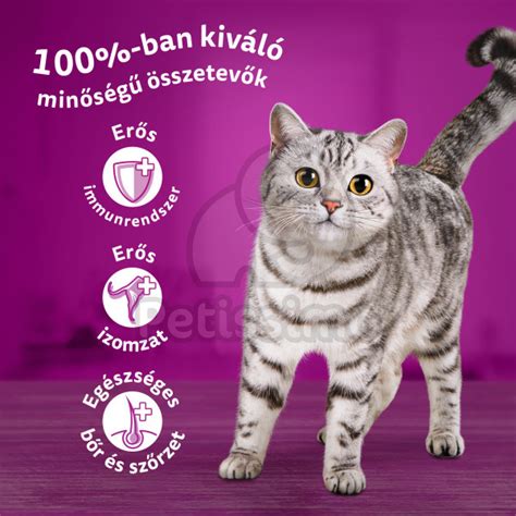 Infografika znázorňujúca základné zložky vlhkého krmiva pre mačky