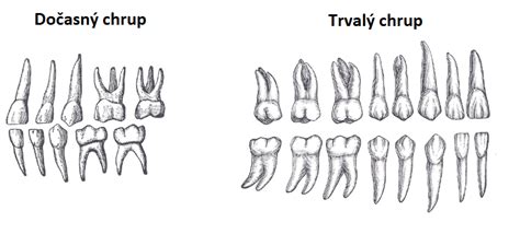 Rôzne tvary pílových zubov