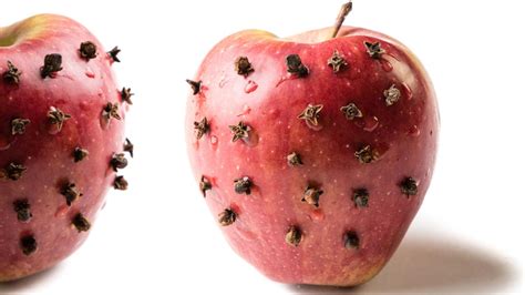 Ilustrácia jablka napichaného klinčekmi