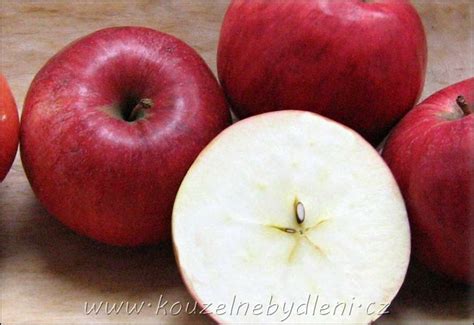 Štruktúra vlákniny v jablku