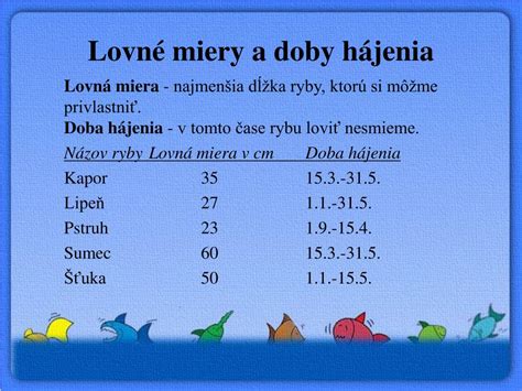 Infografika: Lovné miery niektorých druhov rýb.