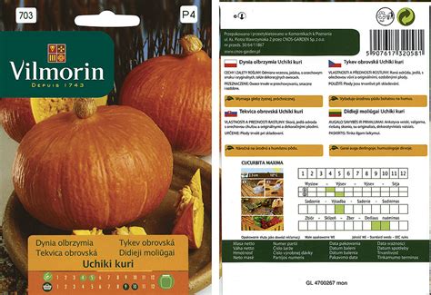 Ilustrácia správneho výberu semien tekvice