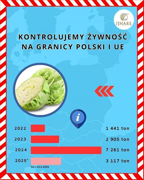 Infografika o nutričnom zložení kapusty