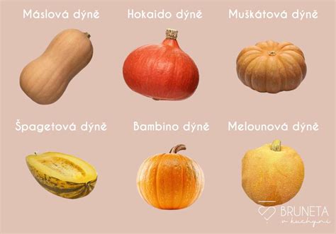 Rôzne druhy bulguru a surovín na varenie