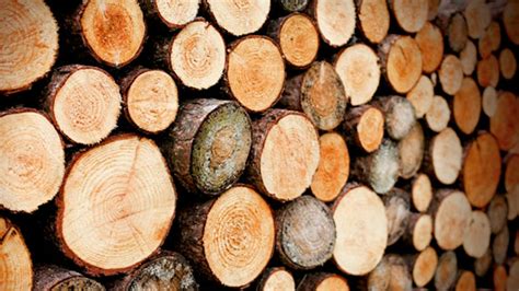 porovnanie olejov na drevo