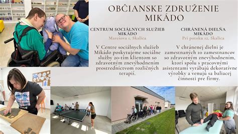 Infografika o cieľových skupinách sociálnych služieb