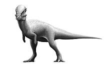 Rekonštrukcia vzhľadu dinosaura typu Aberlisaurus