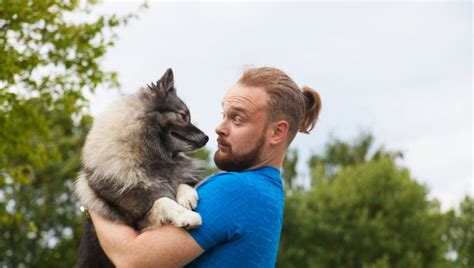 Pes a človek v parku