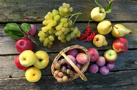 Rôzne druhy ovocia na prípravu špízov