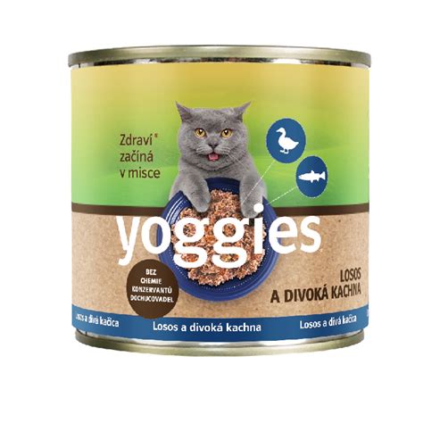 Ilustrácia rôznych typov mokrého krmiva pre mačky: konzervy, vaničky, kapsičky