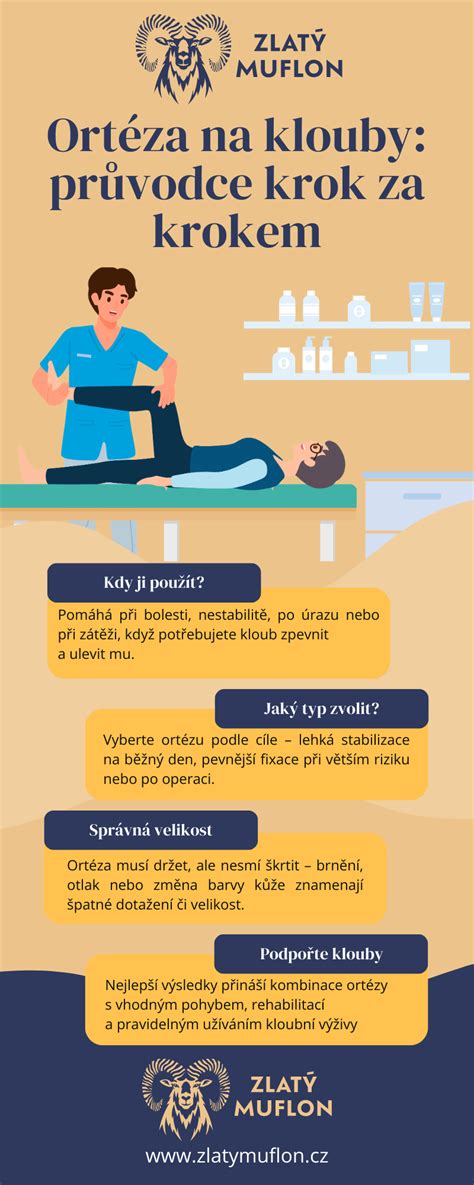 Infografika rôznych použití osmaženej cibuľky
