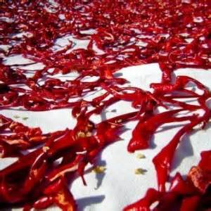 Sušenie papriky na vzduchu