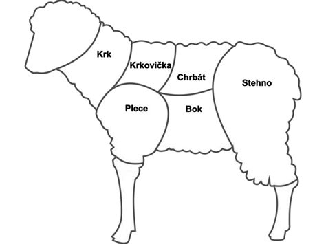 Rôzne časti baranieho mäsa