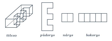 Nárys, pôdorys a bokorys kocky