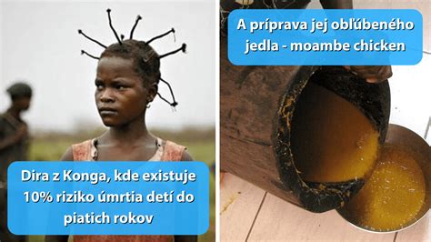 Ilustrácia rôznych jedál v krabičkách