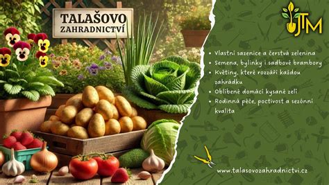 Čerstvá zelenina a bylinky na prípravu nátierky