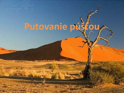 Cesta púšťou