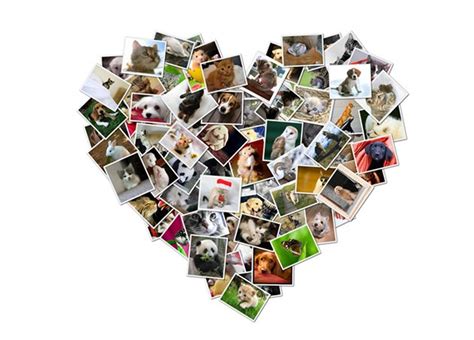 Koláž fotografií Domina koláča v rôznych fázach prípravy