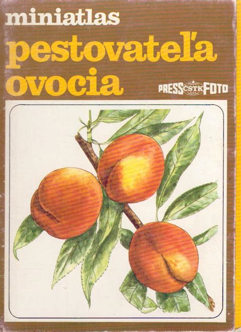 Ilustrácia varenia ovocia