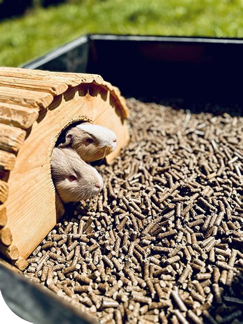 Slamené pelety ako podstielka