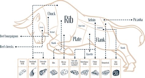 Proces dozrievania mäsa v špeciálnych boxoch