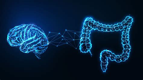 Schéma osi mikrobióm - črevo - mozog.