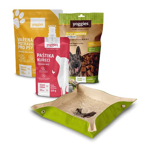 Ilustrácia psa s miskou kreviet