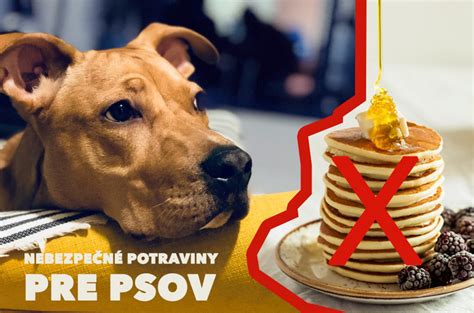 Ilustrácia označujúca nebezpečné potraviny pre psov