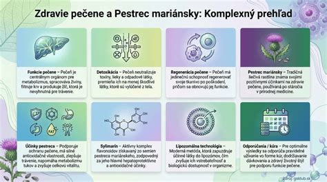 Infografika znázorňujúca hlavné účinky pestreca mariánskeho na organizmus.