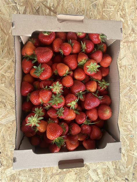 Čerstvé jahody pripravené na plnenie do guliek