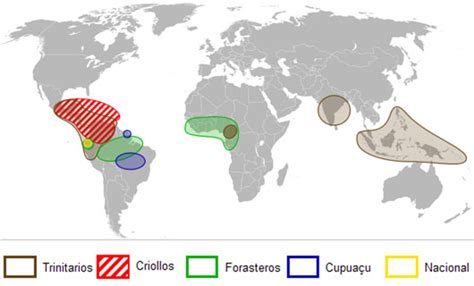 mapa oblastí pestovania kakaa
