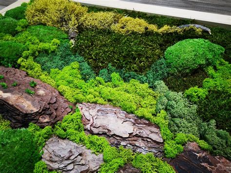 Kombinácia rôznych druhov ríbezlí