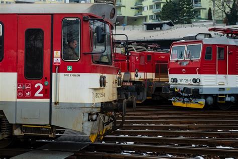 Ilustračná fotografia baraních rohov