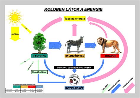 Ilustrácia znázorňujúca kolobeh zásob od nákupu po predaj