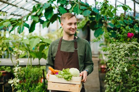 Starostlivosť o baklažány v skleníku