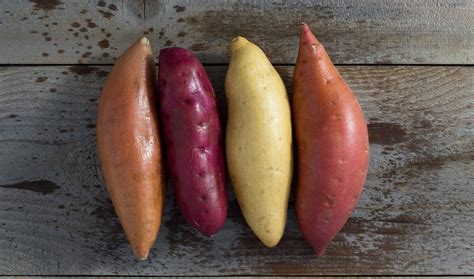 Infografika porovnávajúca skoré, stredne skoré a neskoré odrody zemiakov