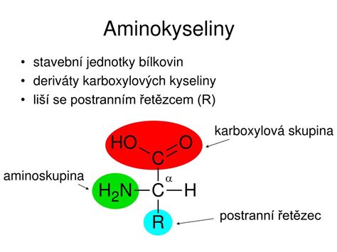 Štruktúra aminokyseliny