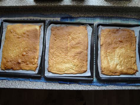 Upečené piškótové pláty