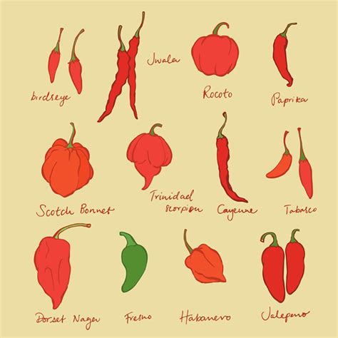 Rôzne druhy chilli omáčok