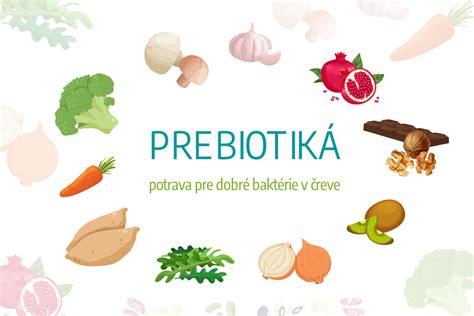 Schéma fungovania probiotík a prebiotík v čreve