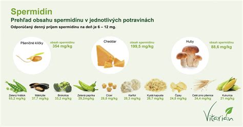 Infografika o zdrojoch horčíka v potrave