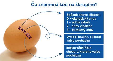 Schéma kódov na vajciach