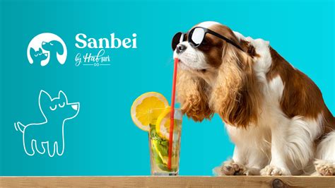 Ilustrácia bezpečných ingrediencií pre psiu tortu
