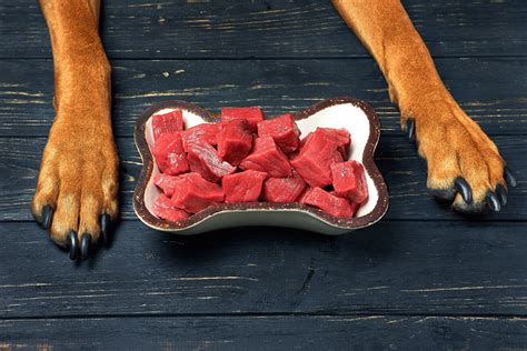 Ilustrácia zloženia BARF stravy pre psa