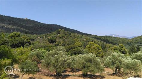 Olivové háje na Kréte