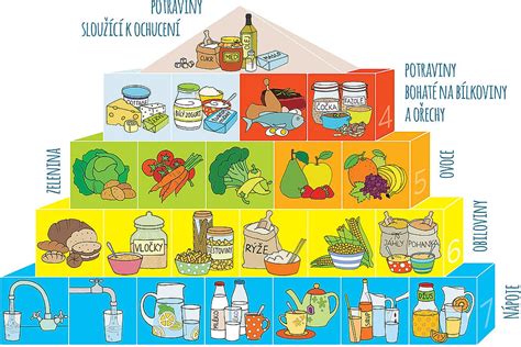 Ilustrácia srdca a ciev s označením zdravých potravín