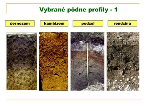Pôdny profil pseudogleja